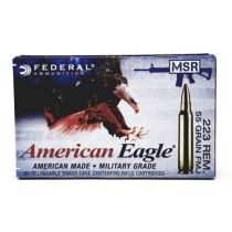 Federal AE 5.56 NATO XM193 55gr FMJ - 20 Rounds 